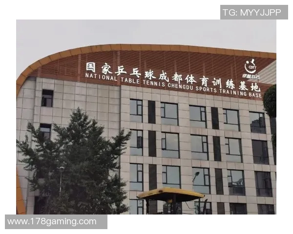 成都乒乓球队转型之路的挑战与机遇全景解析MBA
