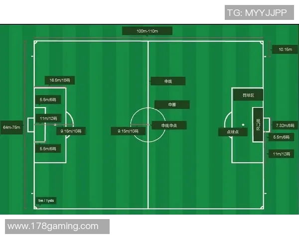 南京飞盘队防守反击策略分析及其在比赛中的成效与不足